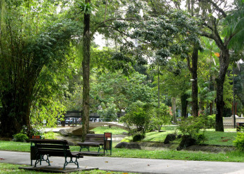 Парк в Белене, Бразилия – фотографии Бразилии