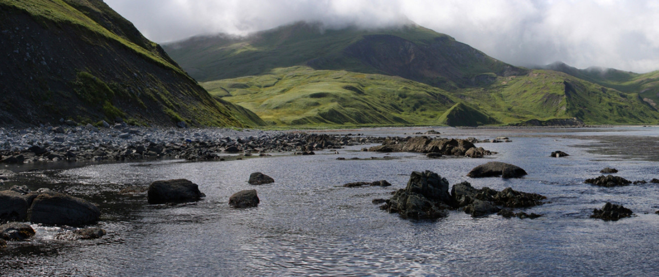 Командорские острова. Фото 23 – фотографии России