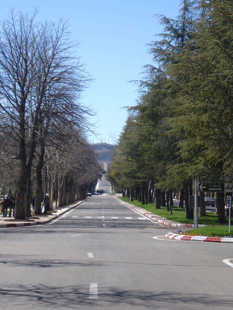 Ифран, Марокко, фото № 7500 – фотографии Марокко