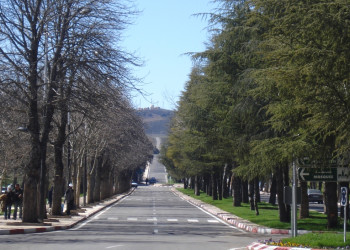 Ифран, Марокко, фото № 7500 – фотографии Марокко