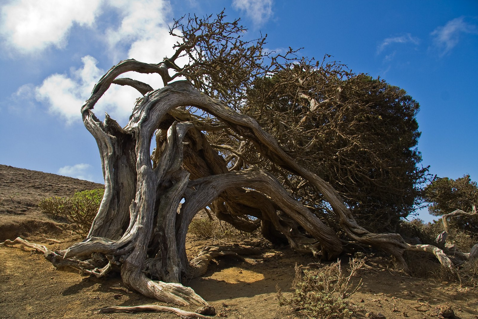Эль-Йерро остров, Канарские острова, фото № 34701 – фотографии Канарских островов