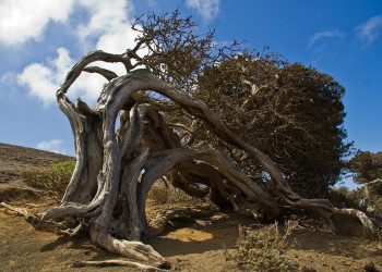 Эль-Йерро остров, Канарские острова, фото № 34701 – фотографии Канарских островов