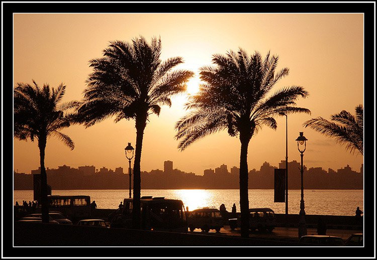 Александрия, Египет, фото № 34847 – фотографии Египта