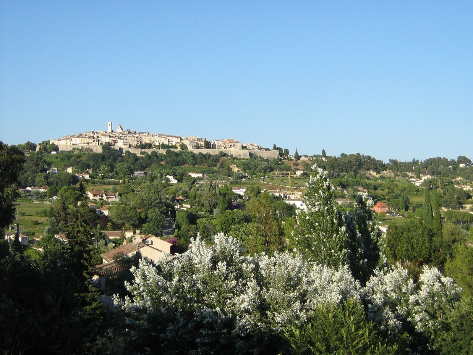 Природа в Сен Поль де Ванс, Франция – фотографии Франции