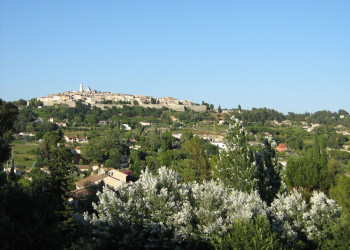 Природа в Сен Поль де Ванс, Франция – фотографии Франции