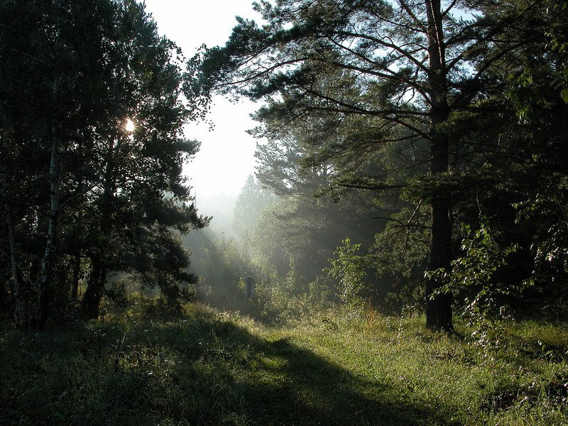 Природа в Бердские скалы, Россия. Фото 5 – фотографии России