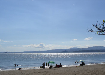 Пунтаренас, Пунтаренас провинция, Коста-Рика, фото № 41056 – фотографии Коста-Рики