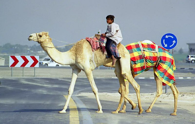 Дубай, ОАЭ, фото № 60746 – фотографии ОАЭ