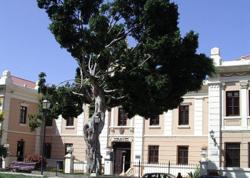 Ла-Оротава, Тенерифе остров, Канарские острова, фото № 33294 – фотографии Канарских островов