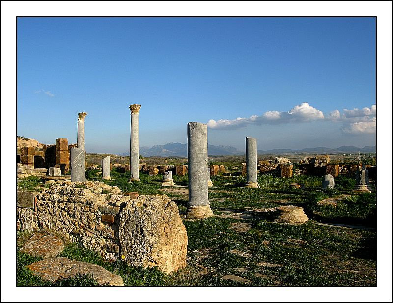 Достопримечательность Туниса – фотографии Туниса