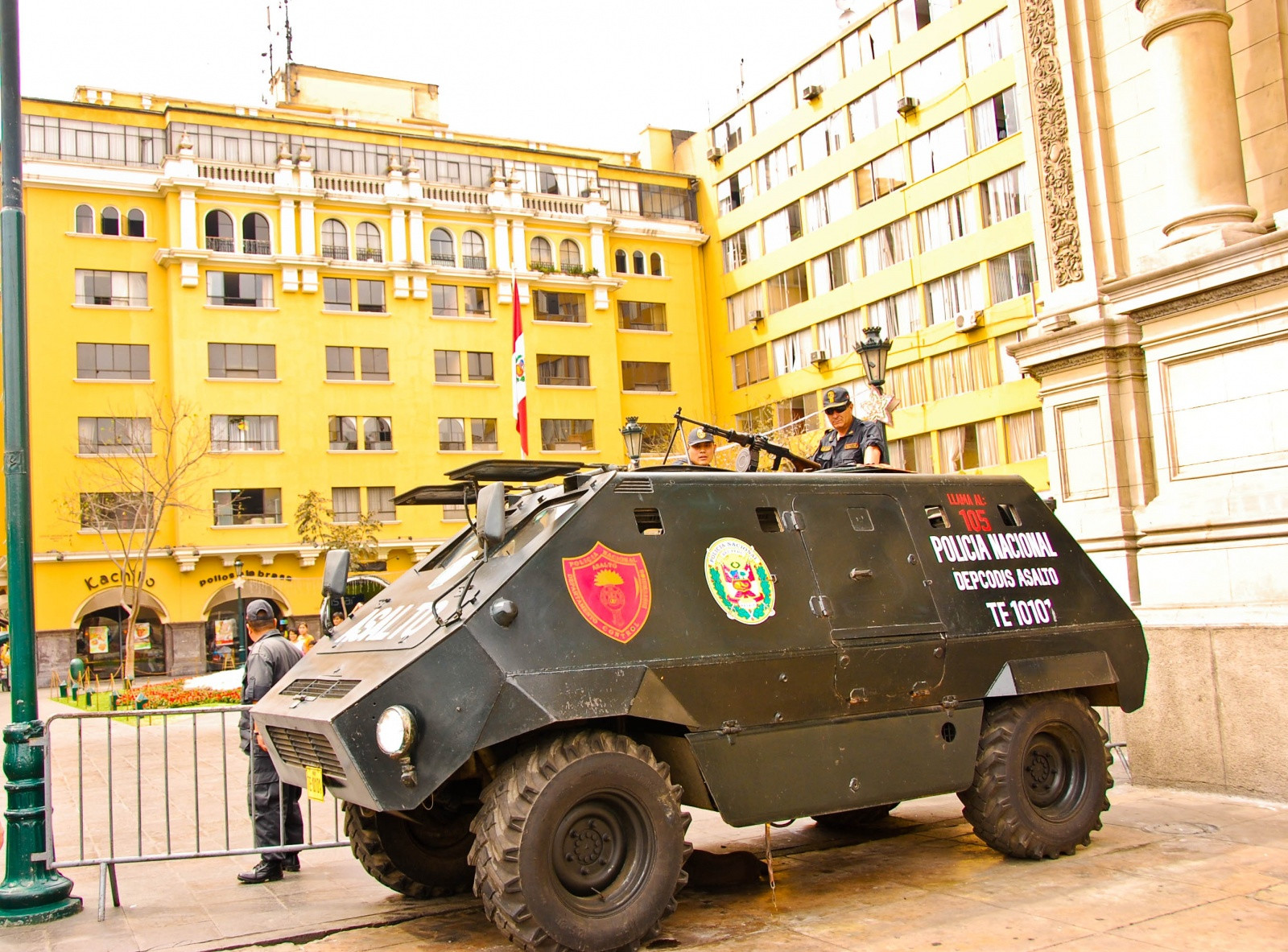 Забавная бронированная штука – фотографии Перу