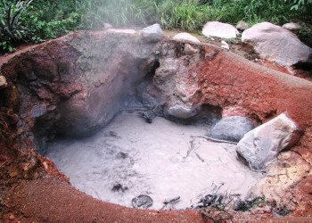 Ринкон де ла Виеха Национальный Парк, Гуанакасте провинция, Коста-Рика, фото № 39286 – фотографии Коста-Рики