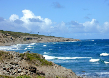 Невис остров, Сент-Китс и Невис, фото № 71540 – фотографии Сент-Китс и Невис