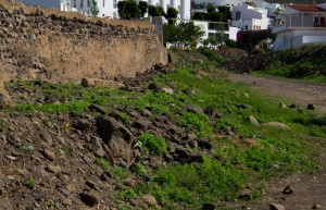Агаэте, Гран-Канария остров, Канарские острова, фото № 30865 – фотографии Канарских островов