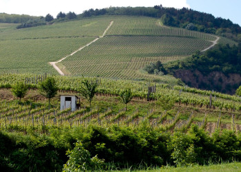 Токай, Венгрия, фото № 70740 – фотографии Венгрии