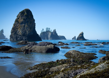 Олимпик (национальный парк). США. Фото 1 – фотографии США