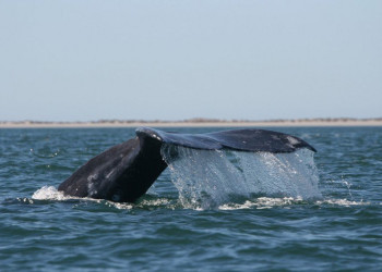 Мексика, фото № 1018 – фотографии Мексики