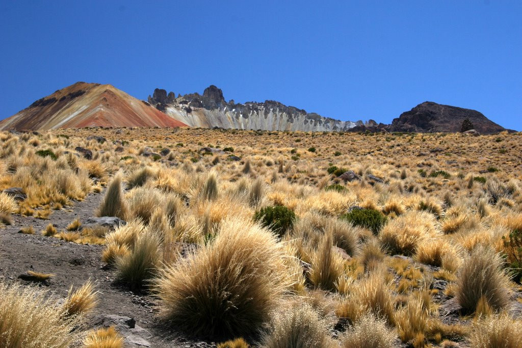 Окрестности солончака Уюни – фотографии Боливии