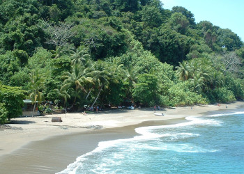 о.Каньо, Пунтаренас провинция, Коста-Рика, фото № 40837 – фотографии Коста-Рики