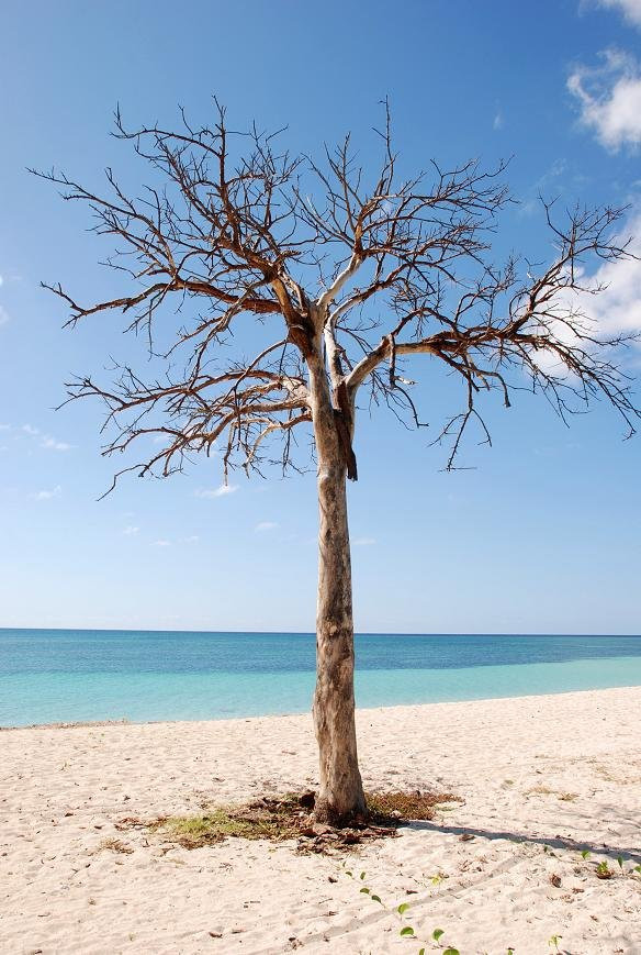 Пляж в Тринидаде, Куба. Фото 1 – фотографии Кубы