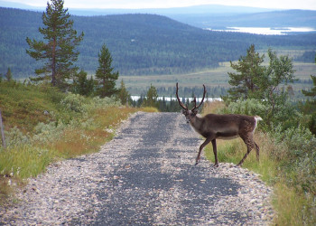 Финляндия, фото № 4572 – фотографии Финляндии