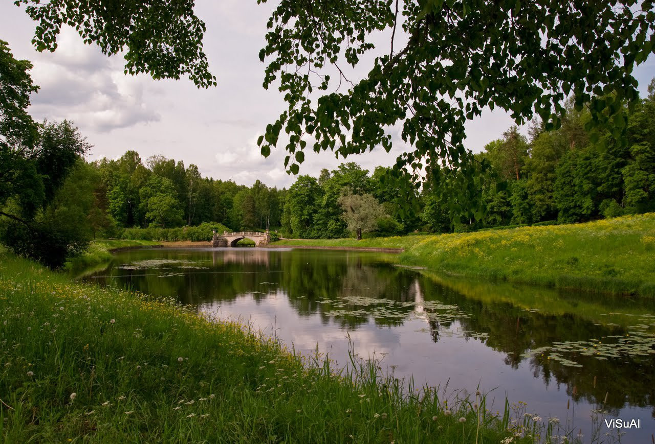 Озеро в Павловске, Россия. Фото 1 – фотографии России