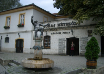 Токай, Венгрия, фото № 70732 – фотографии Венгрии