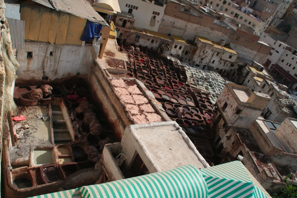 Фес, Марокко, фото № 8477 – фотографии Марокко