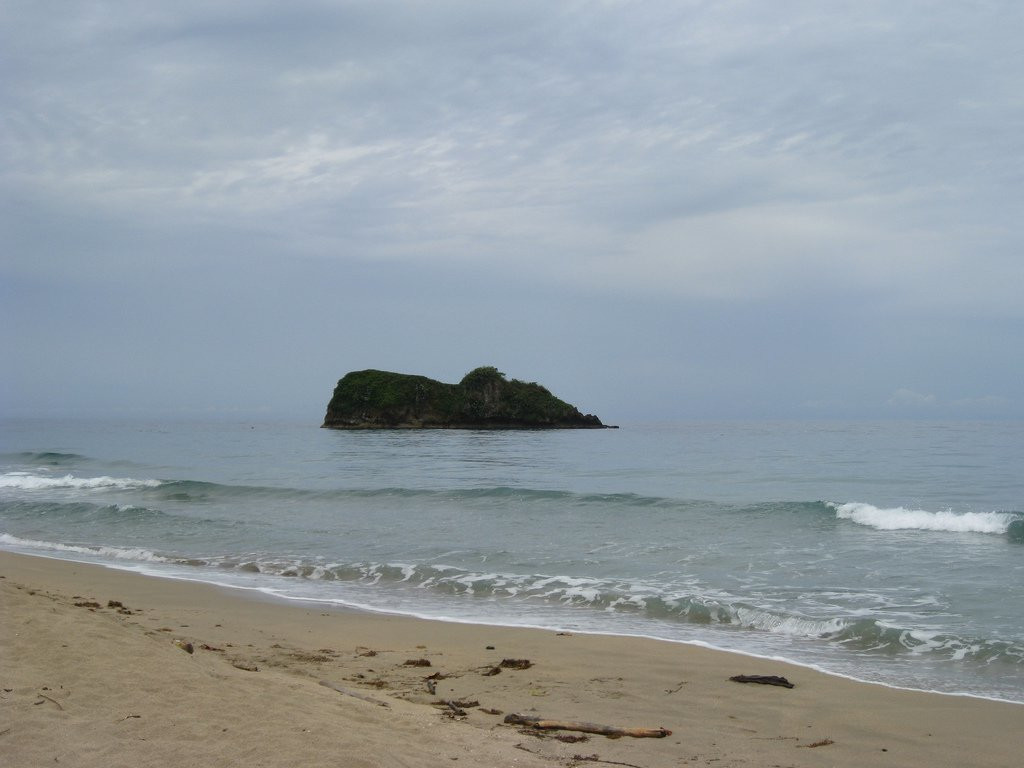 Пуэрто Вьехо, Лимон провинция, Коста-Рика, фото № 40205 – фотографии Коста-Рики