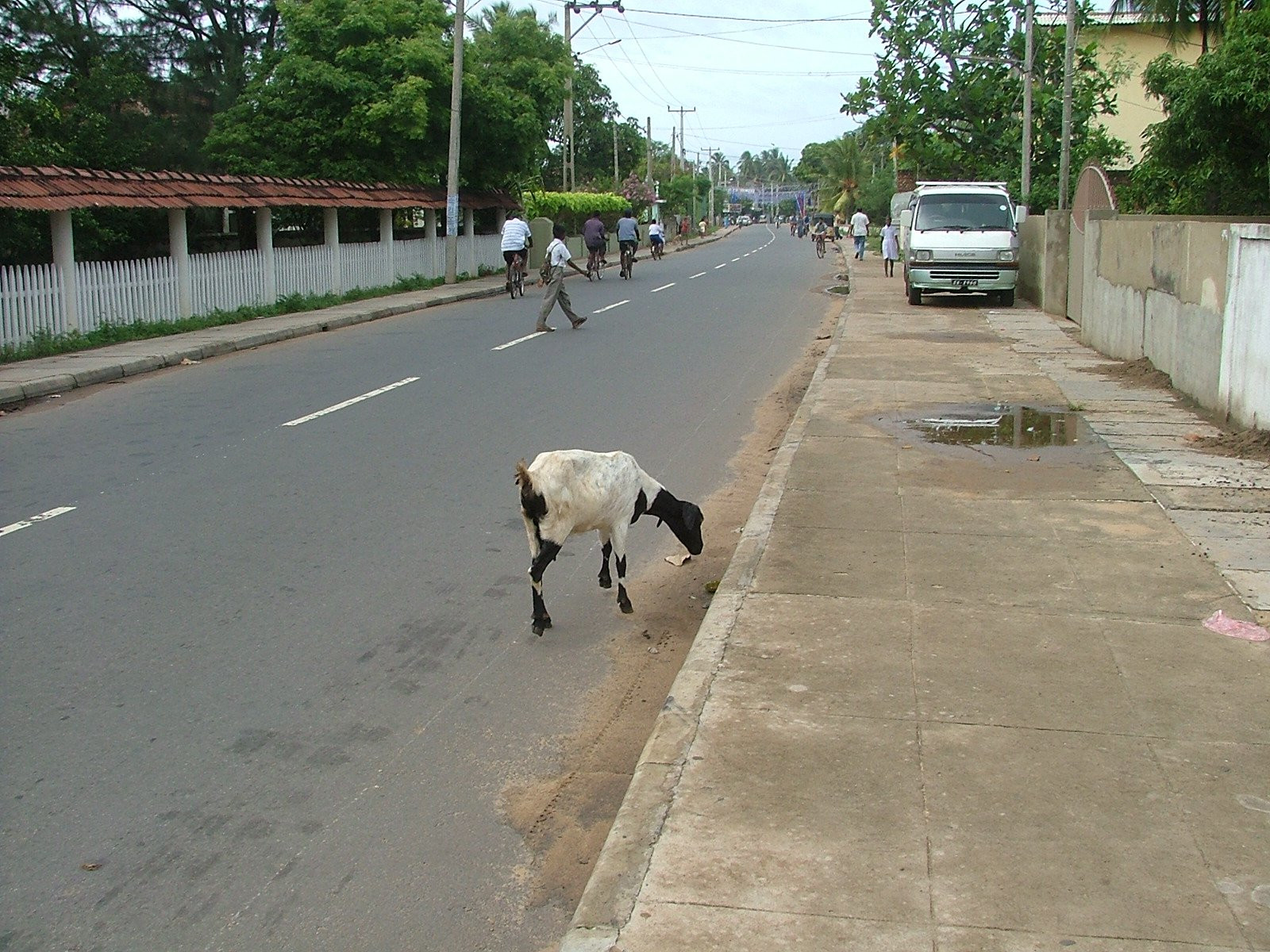 Негомбо, Шри-Ланка, фото № 51922 – фотографии Шри-Ланки