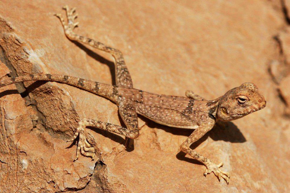 Израиль, фото № 2008 – фотографии Израиля