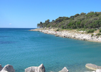 Берега на острове Раб, Хорватия. Фото 17 – фотографии Хорватии