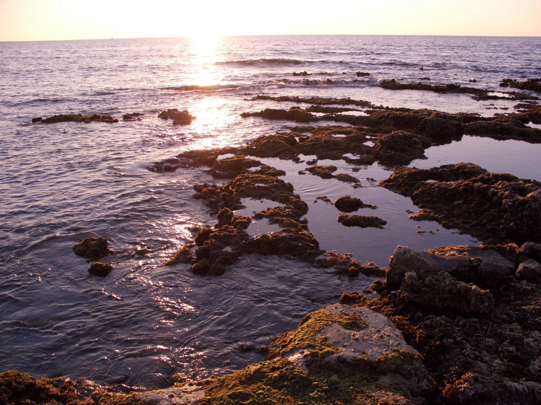 Пафос, Кипр, фото № 38471 – фотографии Кипра