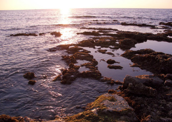 Пафос, Кипр, фото № 38471 – фотографии Кипра