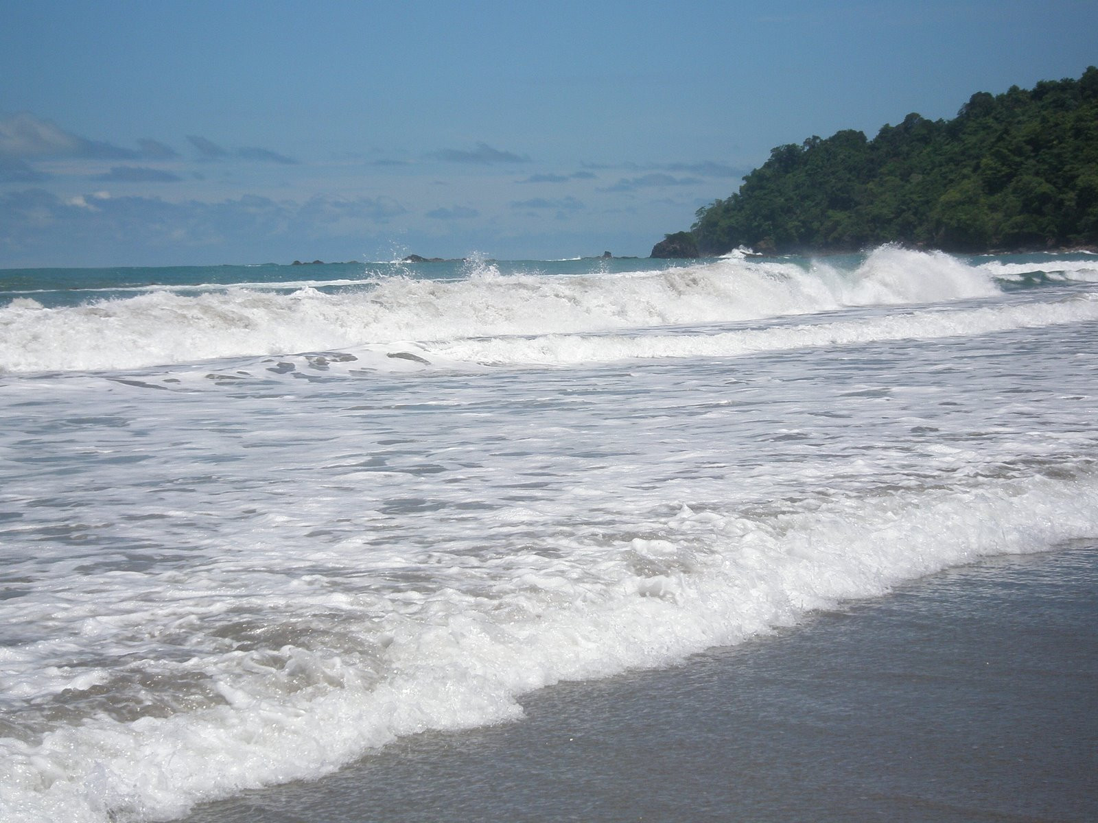 Мануэль Антонио, Пунтаренас провинция, Коста-Рика, фото № 40629 – фотографии Коста-Рики