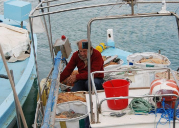 Айя-Напа, Кипр, фото № 37497 – фотографии Кипра