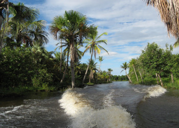 Бразилия, фото № 1543 – фотографии Бразилии