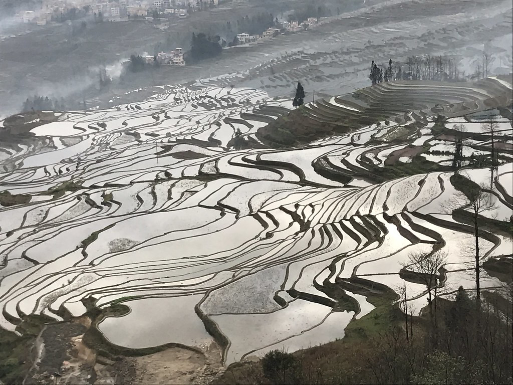 Рисовые террасы Хунхэ-Хани (Honghe Hani Rice Terraces) в Китае – фотографии Китая