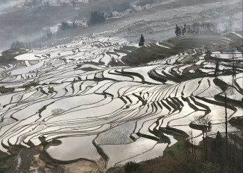 Рисовые террасы Хунхэ-Хани (Honghe Hani Rice Terraces) в Китае – фотографии Китая