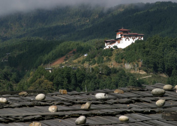 Джакар-дзонг (Jakar Dzong) – фотографии Бутана