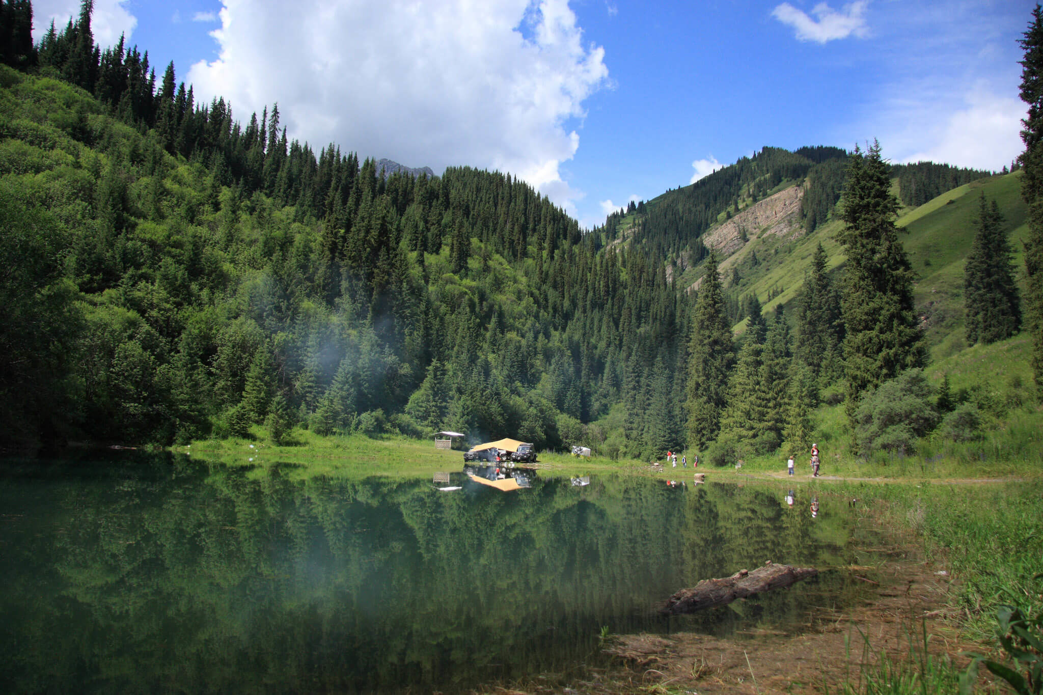 Красивый лес пленён озером Каинди, Казахстан – фотографии Казахстана
