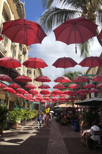 Украшение аллеи красными зонтами. Маврикий – фотографии Маврикия