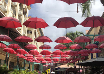 Украшение аллеи красными зонтами. Маврикий – фотографии Маврикия