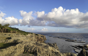 Мапу-а-Вака гейзеры, фото 2 – фотографии Тонги