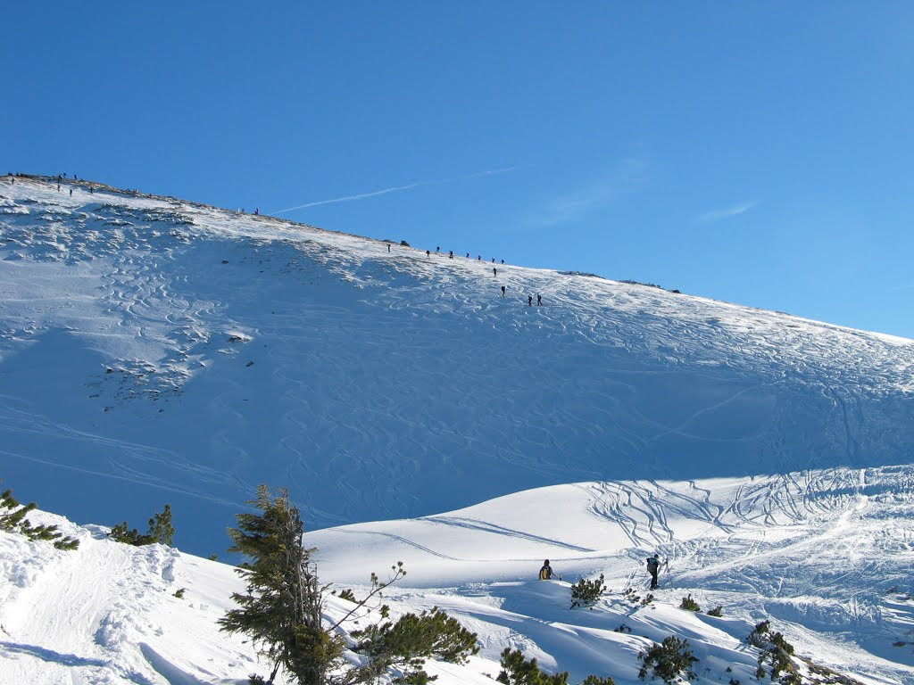 Горнолыжный склон. Руссбах. Австрия – фотографии Австрии