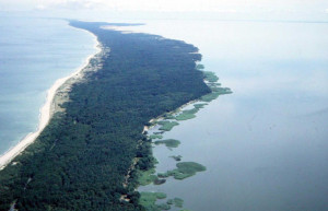 Куршская коса 8 – фотографии России