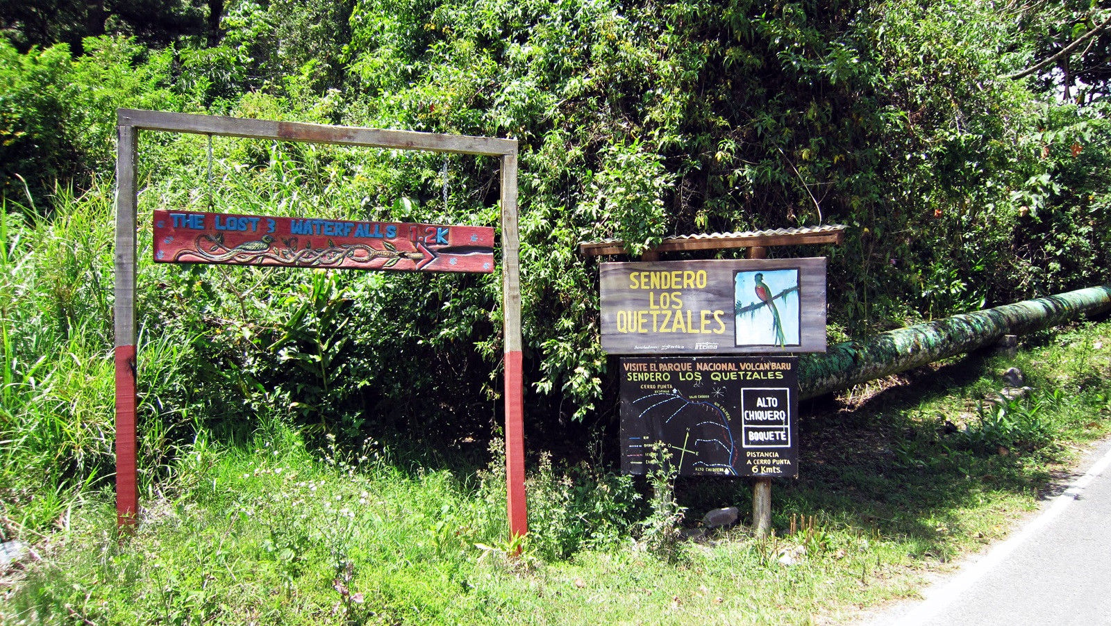 Тропа Сендеро-де-лос-Кетцалес в окрестностях вулкана Бару в Панаме – фотографии Панамы