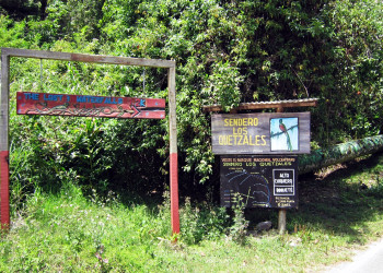 Тропа Сендеро-де-лос-Кетцалес в окрестностях вулкана Бару в Панаме – фотографии Панамы