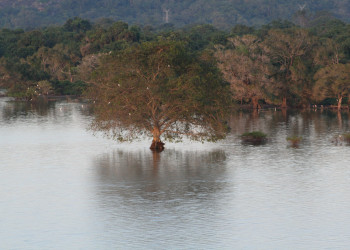 Кандалама, Шри-Ланка, фото № 51299 – фотографии Шри-Ланки