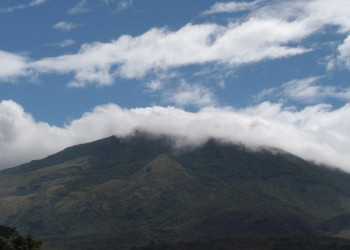 Ринкон де ла Виеха Национальный Парк, Гуанакасте провинция, Коста-Рика, фото № 39253 – фотографии Коста-Рики